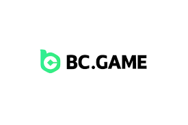 Exploring the Excitement of Pakistan BC Game 2133663408